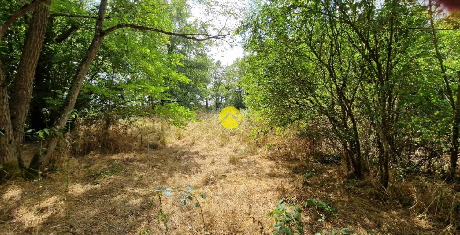 Terrain constructible de 2505 m² — photo 1