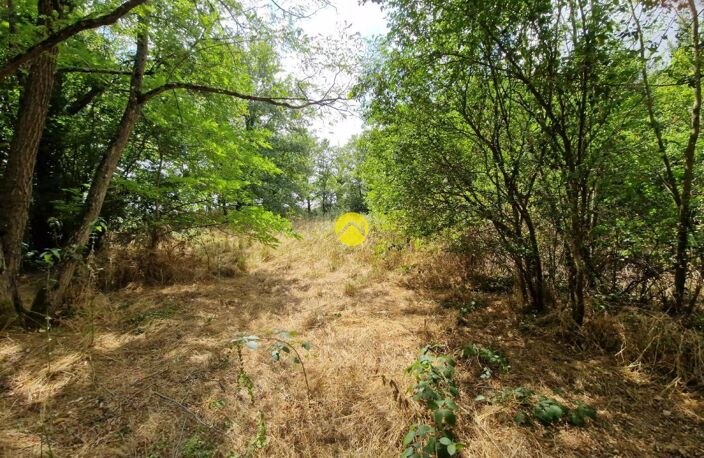 Terrain constructible de 2505 m² — photo 2