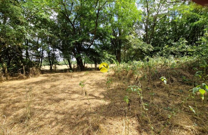 Terrain constructible de 2505 m² — photo 4