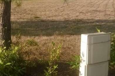 Terrain  40000 €