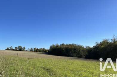 Terrain  44000 €