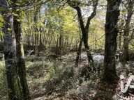 Vente Terrain agricole 95 505 m&sup2; — photo 3