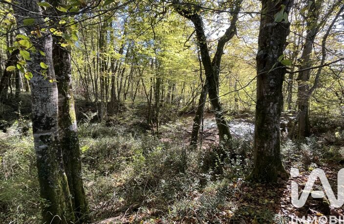 Vente Terrain agricole 95 505 m&sup2; — photo 3