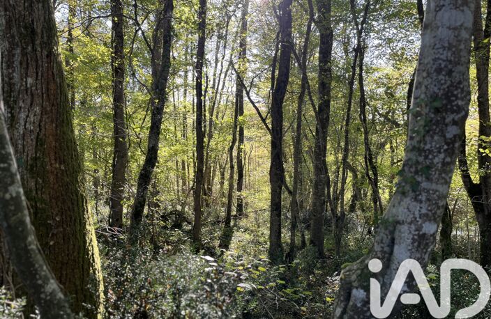 Vente Terrain agricole 95 505 m&sup2; — photo 4