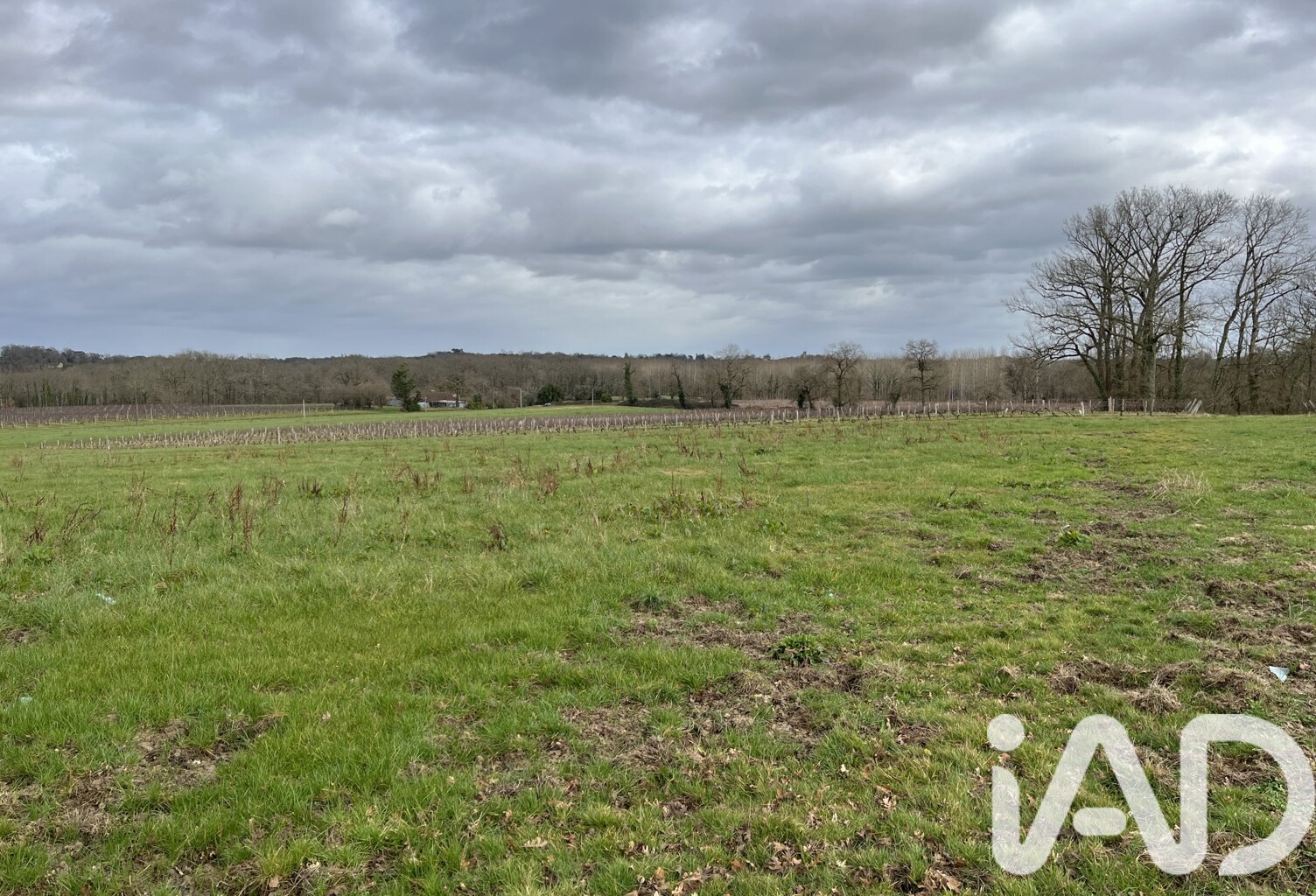 Vente Terrain agricole 132 080 m&sup2; — photo 1