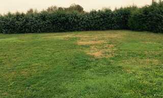 Terrain  650 m² à vendre à Tauriac (33710)