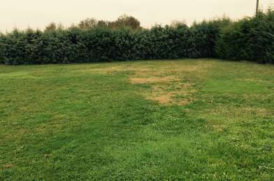 Terrain  65000 €
