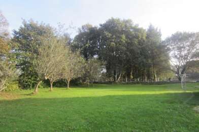 Terrain  31000 €