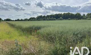 Terrain  1100 m² à vendre à La Neuville-au-Temple (51400)