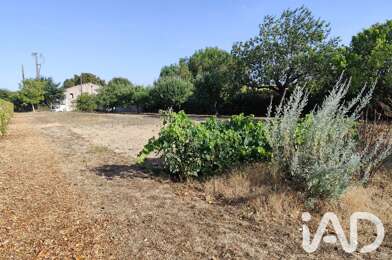 Terrain  53500 €
