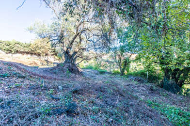 Terrain  580000 €