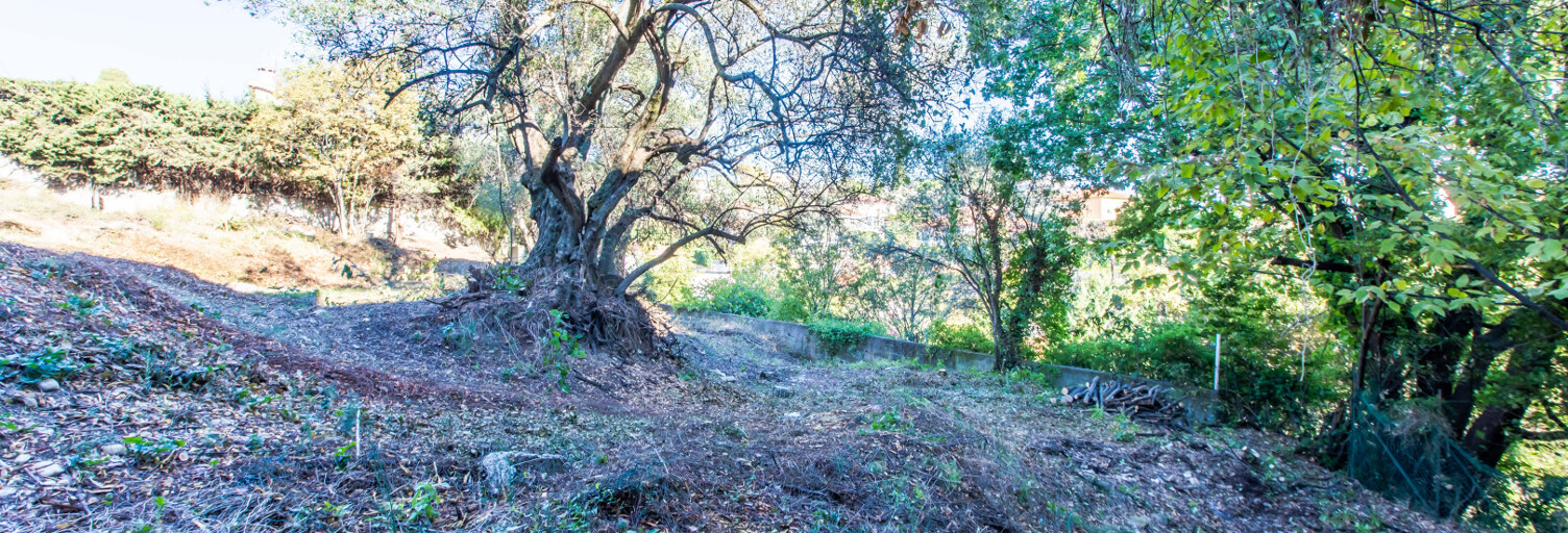 Terrain  887 m² à vendre à Nice (06100)