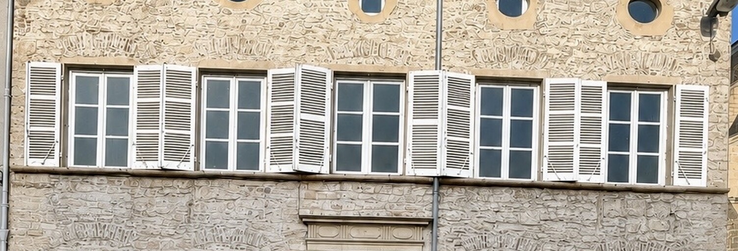 Maison 8 Pièces 340 m² à vendre à Thoissey (01140)