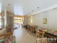 LOCAL COMMERCIAL 169 m² - ÉVIAN-LES-BAINS — photo 4