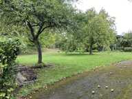 Terrain — photo 2
