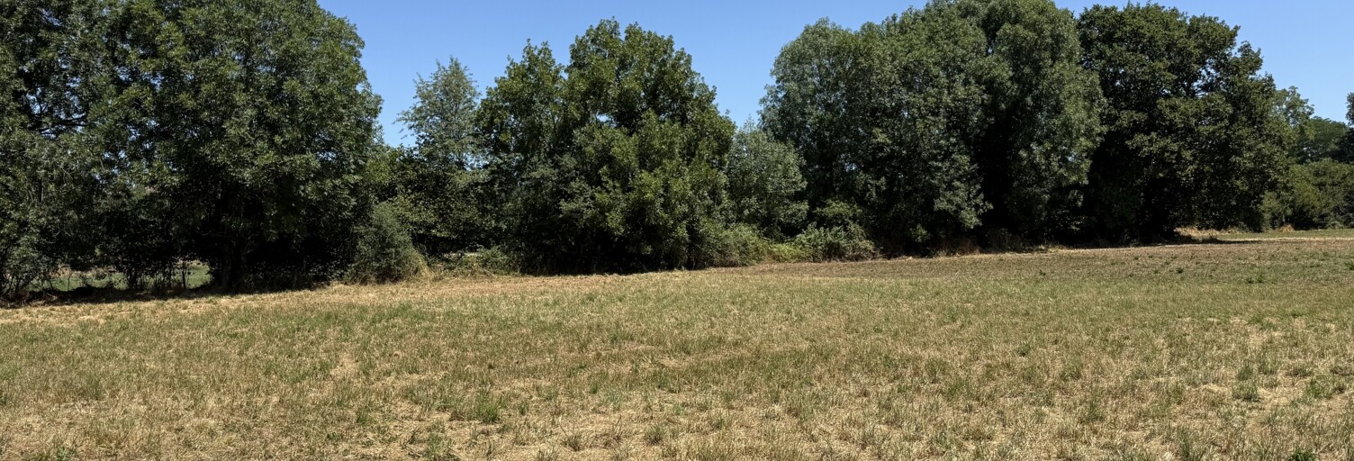 Terrain  619 m² à vendre à Idron (64320)