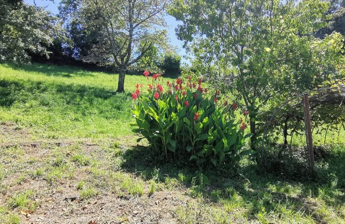 Vente Terrain à bâtir 2 000 m&sup2; — photo 4