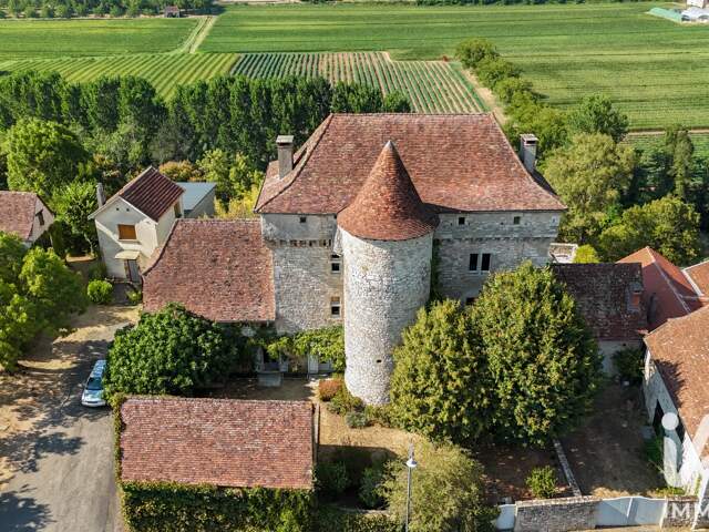 Vente Château 11 pièces — photo du bien