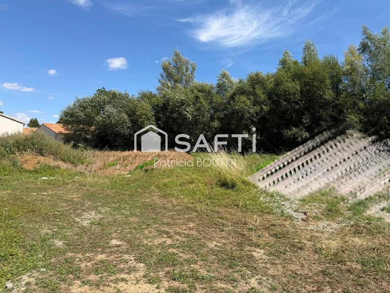 TERRAIN VIABILISÉ ET BORNÉ A BATIR A COULON ! — photo 1