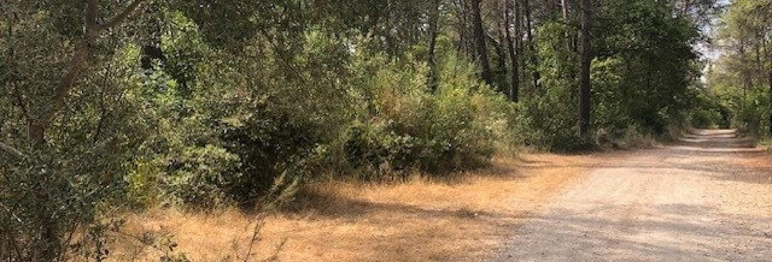 Terrain  10000 m² à vendre à Fayence (83440)
