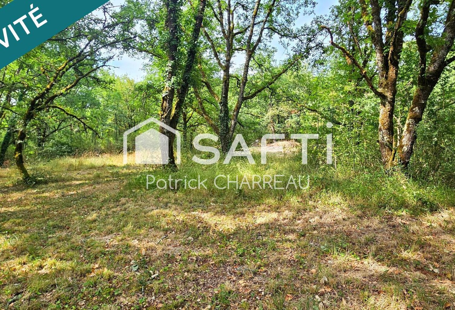 Terrain constructible avec CU - 2200 m² - Calme — photo 1