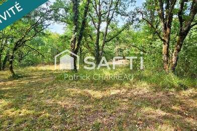 Terrain  29000 €