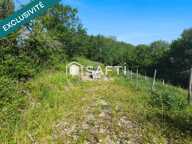 Terrain constructible de 4 400 m2. — photo 4