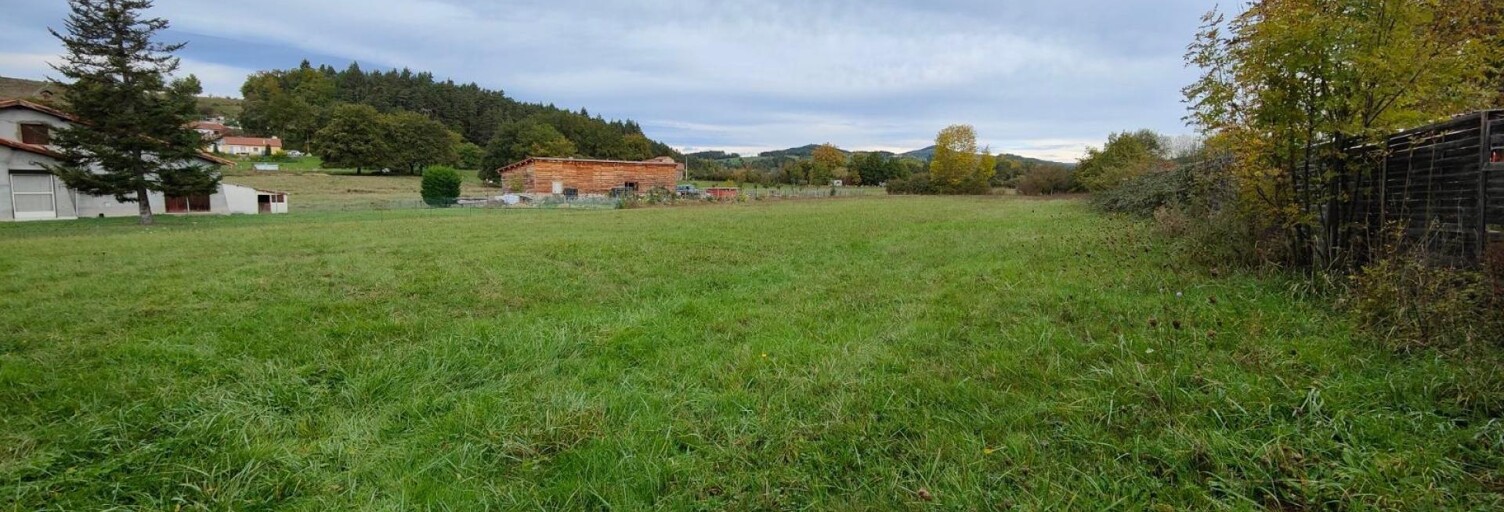 Terrain  3000 m² à vendre à Sugères (63490)