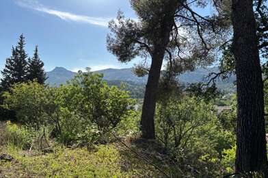 Terrain  440000 €