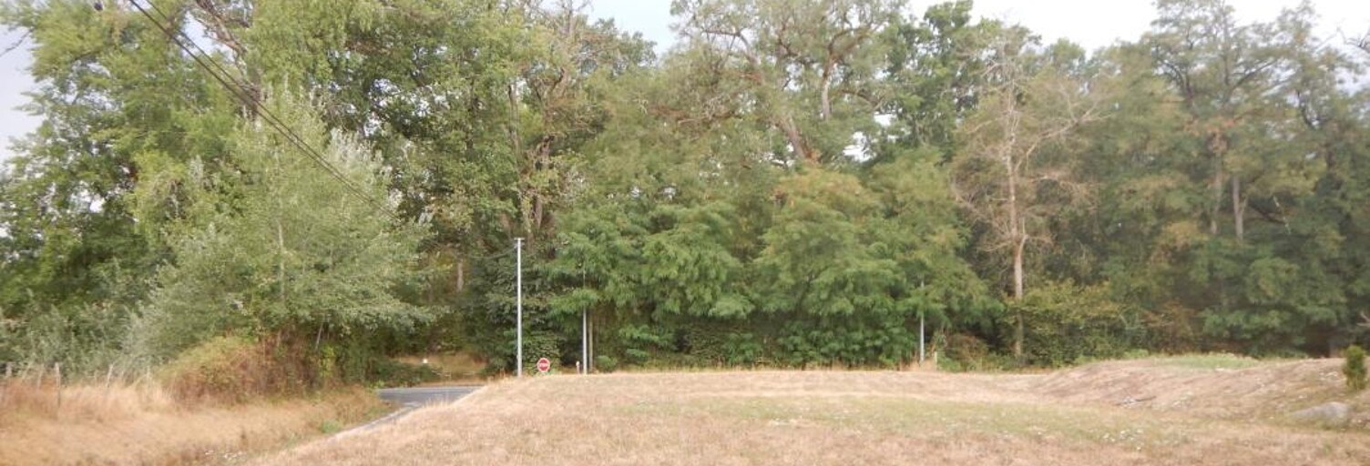Terrain  733 m² à vendre à Champcevinel (24750)