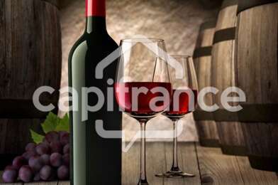Commerce 2 pièces 64600 €