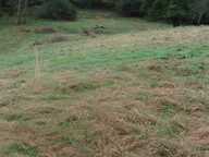 ORTHEZ – Terrains naturels et agricoles de 15 070 m² NON CONSTRUCTIBLE — photo 2