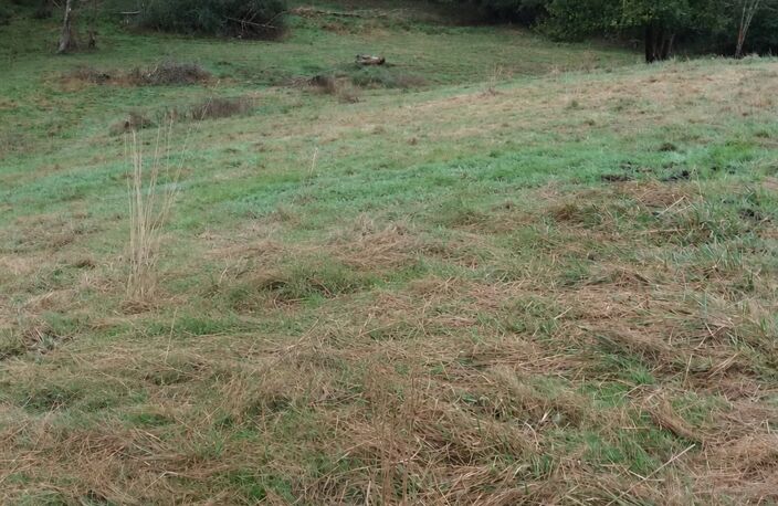 ORTHEZ – Terrains naturels et agricoles de 15 070 m² NON CONSTRUCTIBLE — photo 2
