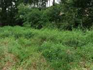 ORTHEZ – Terrains naturels et agricoles de 15 070 m² NON CONSTRUCTIBLE — photo 3