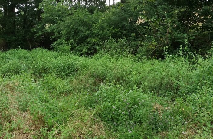 ORTHEZ – Terrains naturels et agricoles de 15 070 m² NON CONSTRUCTIBLE — photo 3