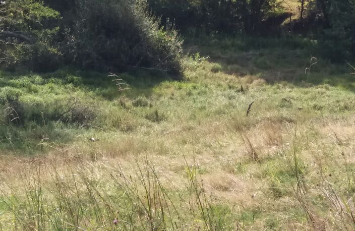 ORTHEZ – Terrains naturels et agricoles de 15 070 m² NON CONSTRUCTIBLE — photo 4