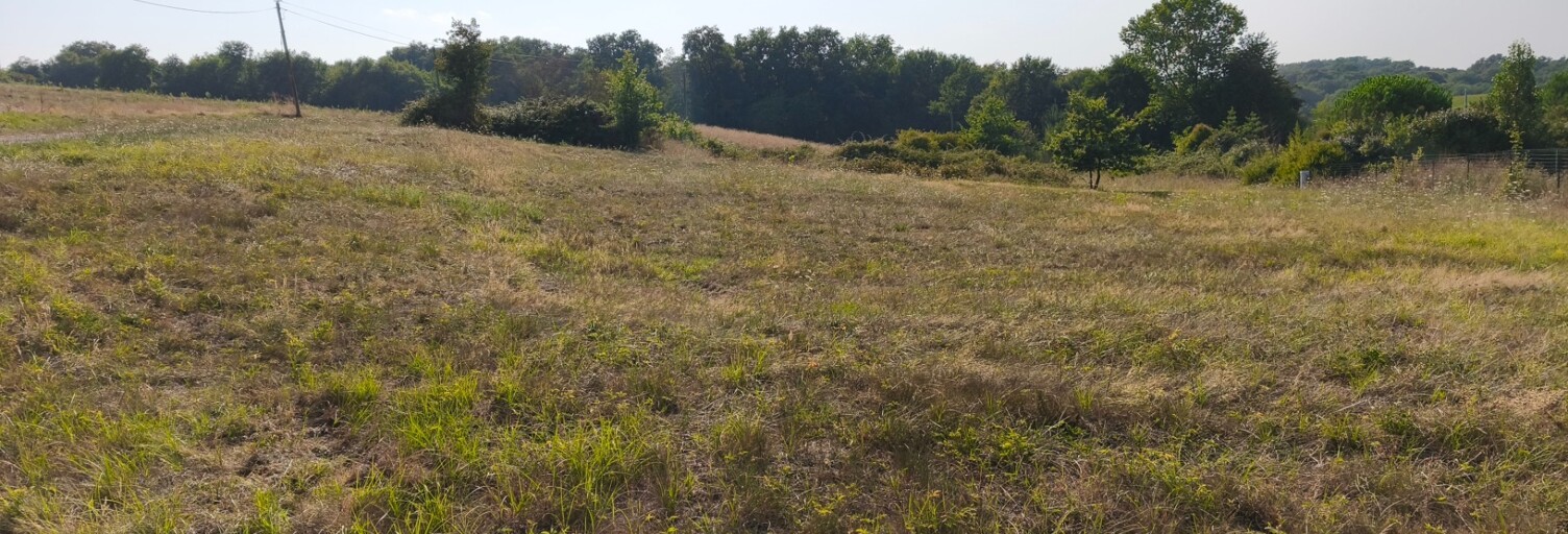 Terrain  1562 m² à vendre à Maulichères (32400)