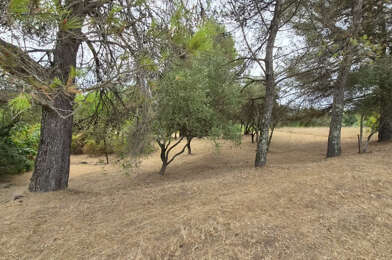 Terrain  145000 €