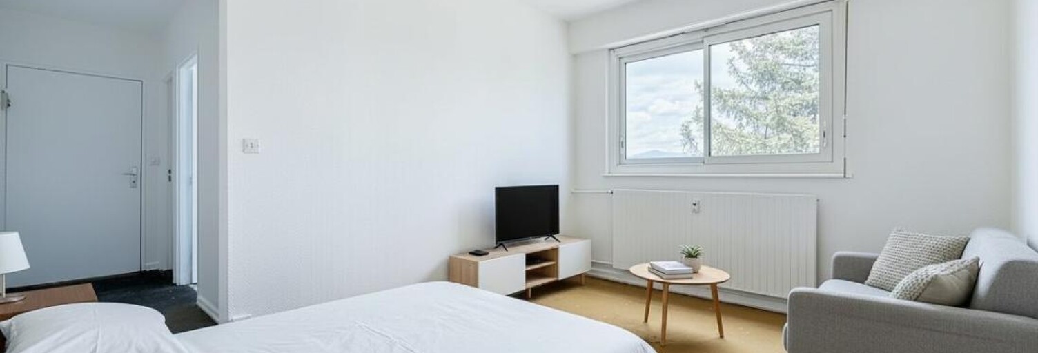 Appartement 1 Pièce 30 m² à vendre à Pfastatt (68120)