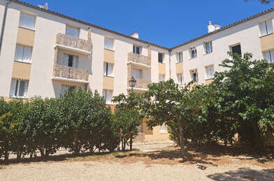 Appartement 3 pièces 618 €