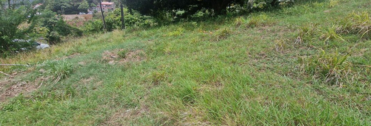 Terrain  530 m² à vendre à Le François (97240)