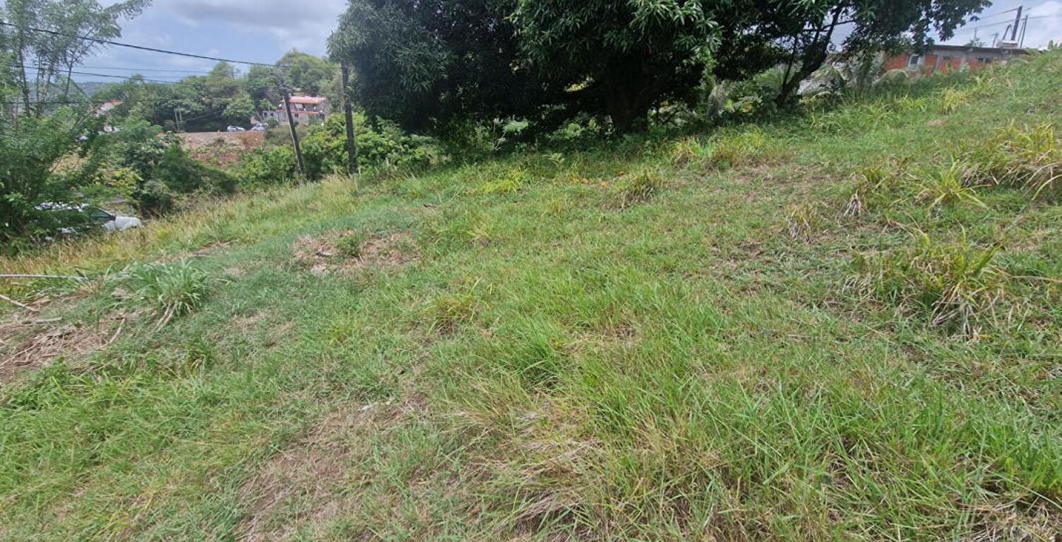 Belle parcelle sur la commune du François — photo 1