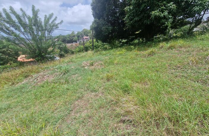 Belle parcelle sur la commune du François — photo 2
