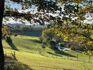 Domaine de caractère avec installations équestres exceptionnelles sur 40 hectares — photo 4