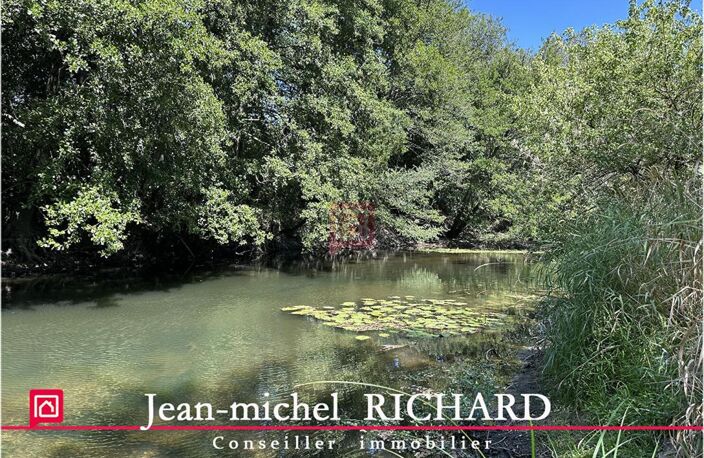 Terrain de loisirs SAULDRE Selles Sur Cher 6000 m2 — photo 4