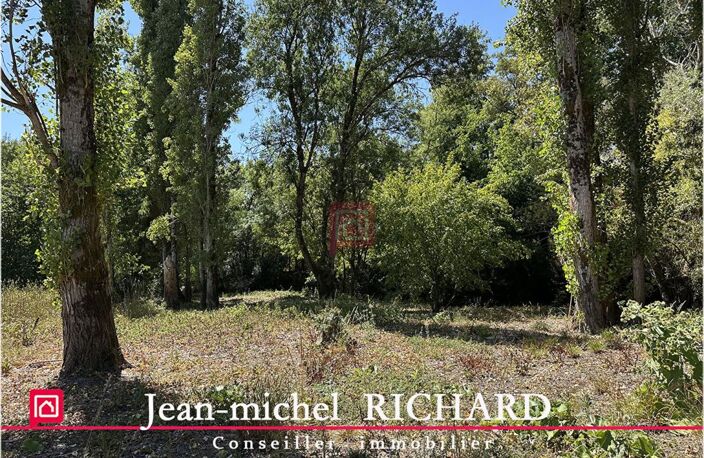 Terrain de loisirs SAULDRE Selles Sur Cher 6000 m2 — photo 5