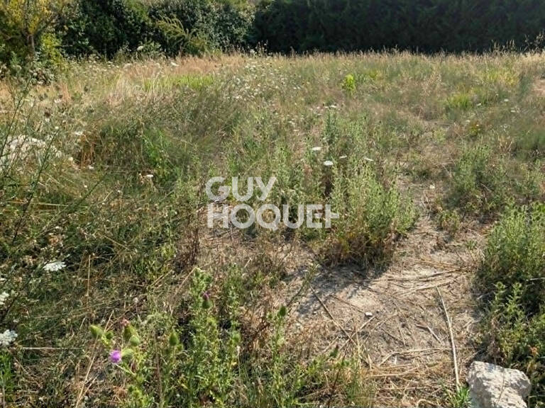 terrain — photo 1