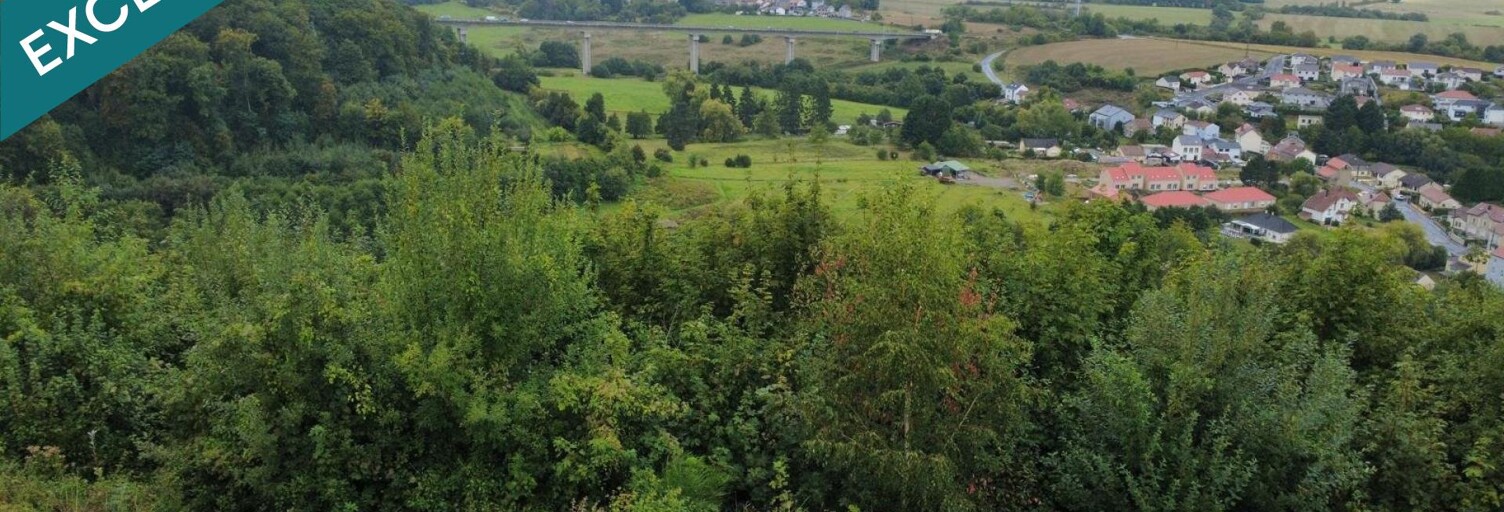 Terrain  408 m² à vendre à Mont-Saint-Martin (54350)