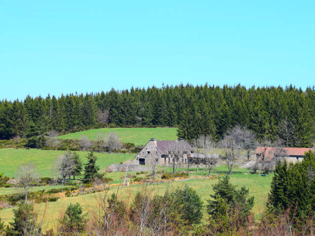 Dépt.(07) - A VENDRE Secteur Le LAC D'ISSARLES - Propriété d — photo du bien