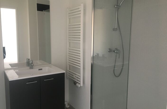 Location appartement 2 pièces 45 m² à Toulouse (31500) — photo 4